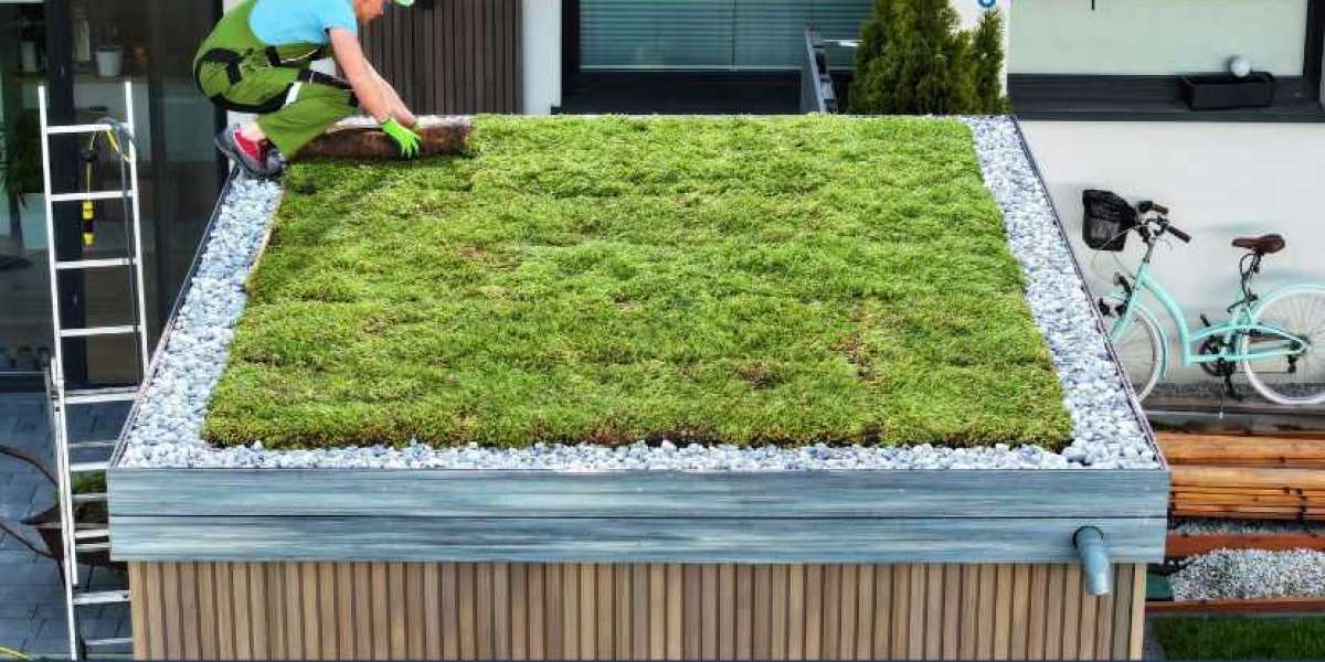 Green Roof Market Forecast (2025-2034): Key Drivers, Trends, and Growth Opportunities